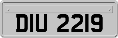 DIU2219