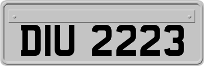DIU2223