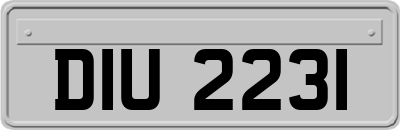 DIU2231