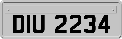 DIU2234
