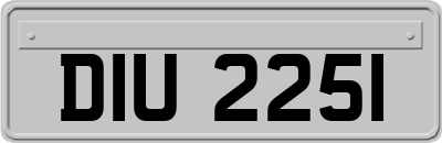 DIU2251