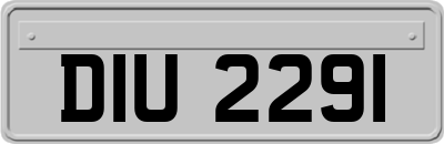 DIU2291