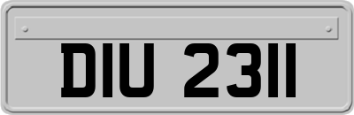 DIU2311
