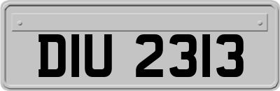 DIU2313