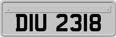 DIU2318