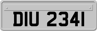 DIU2341