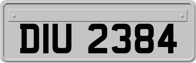 DIU2384