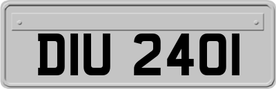 DIU2401