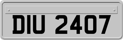 DIU2407
