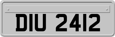 DIU2412