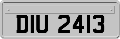 DIU2413