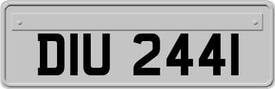 DIU2441