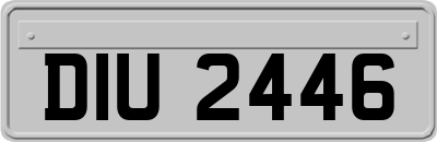 DIU2446