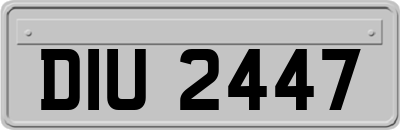 DIU2447