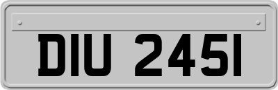 DIU2451
