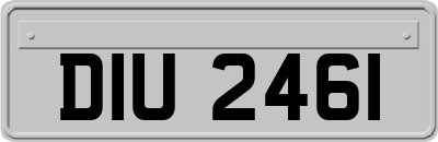 DIU2461