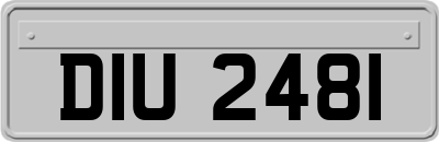DIU2481