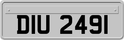 DIU2491