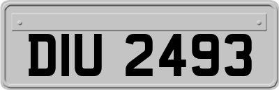 DIU2493