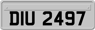 DIU2497