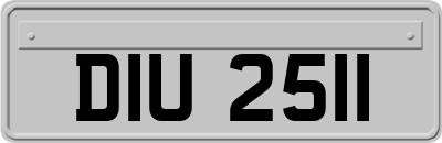 DIU2511