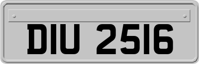 DIU2516