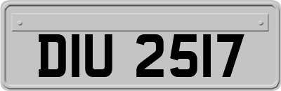 DIU2517