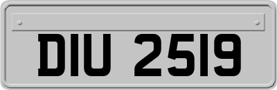 DIU2519