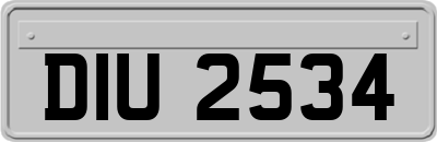 DIU2534