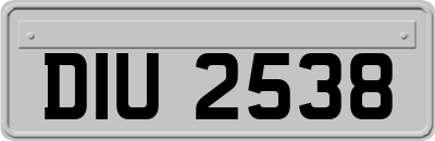 DIU2538