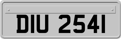 DIU2541