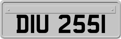 DIU2551