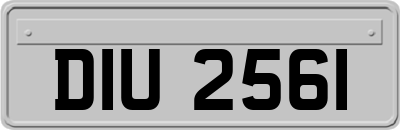 DIU2561