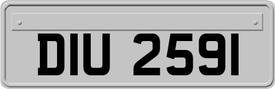 DIU2591