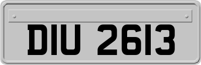 DIU2613