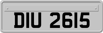 DIU2615