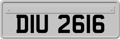 DIU2616
