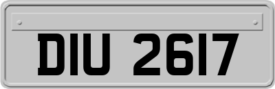 DIU2617