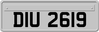 DIU2619