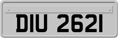 DIU2621