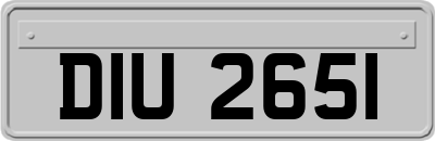 DIU2651