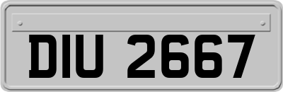 DIU2667