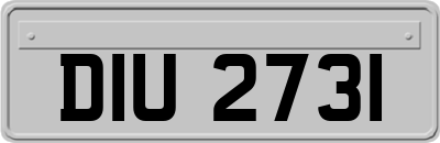 DIU2731