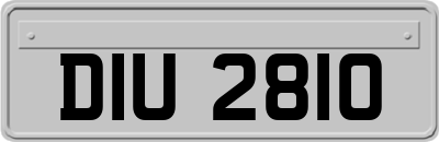 DIU2810
