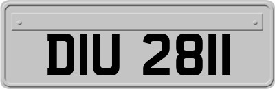 DIU2811