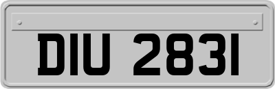 DIU2831