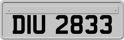 DIU2833