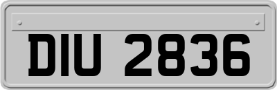 DIU2836