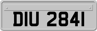 DIU2841