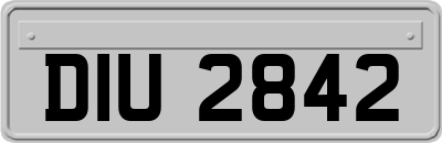 DIU2842